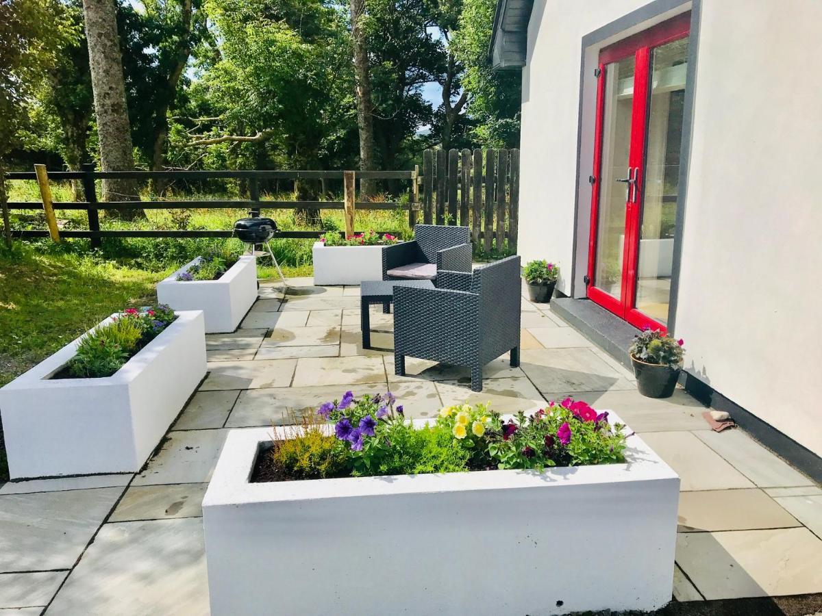 Red Deer Cosy Apartment In Letterfrack Connemara Exterior photo